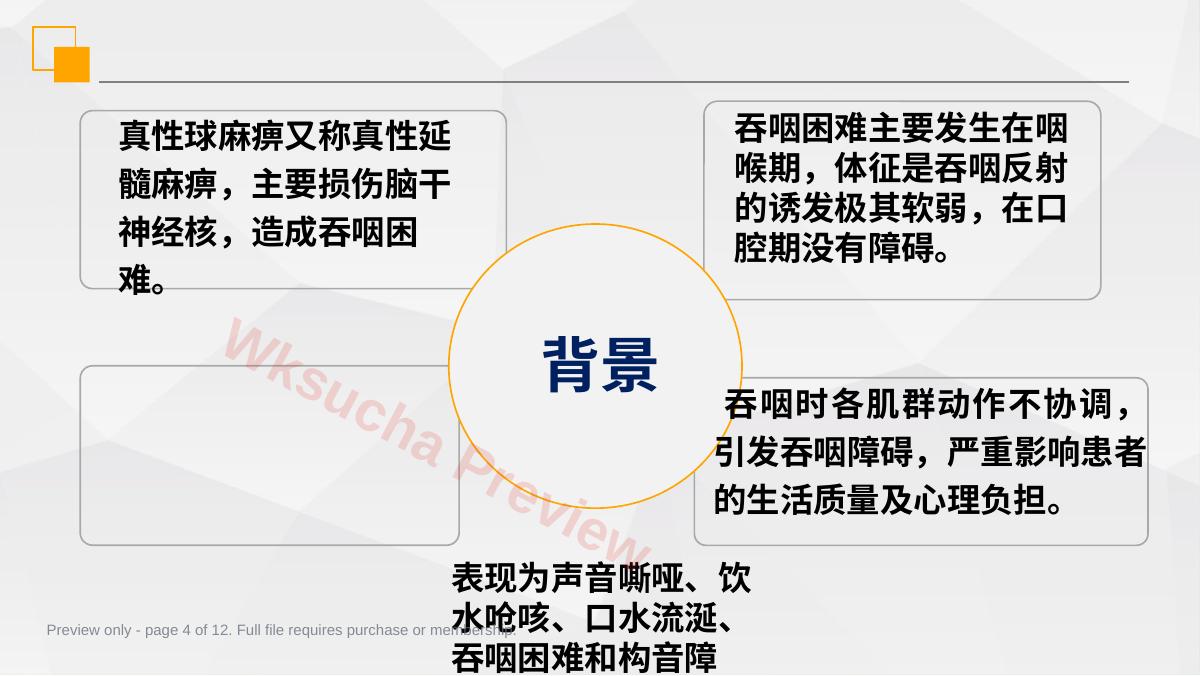 预览第 4 页