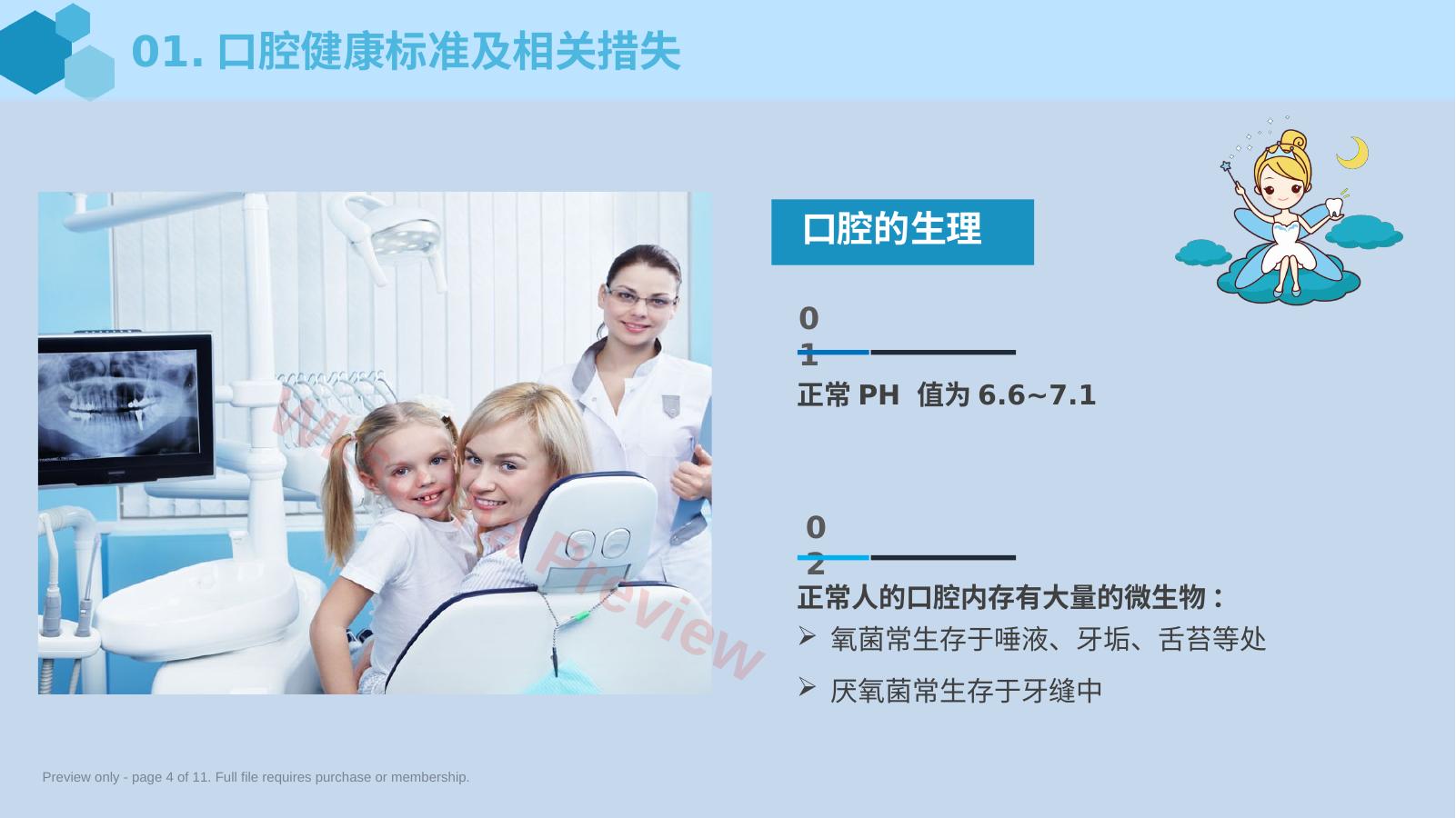 预览第 4 页