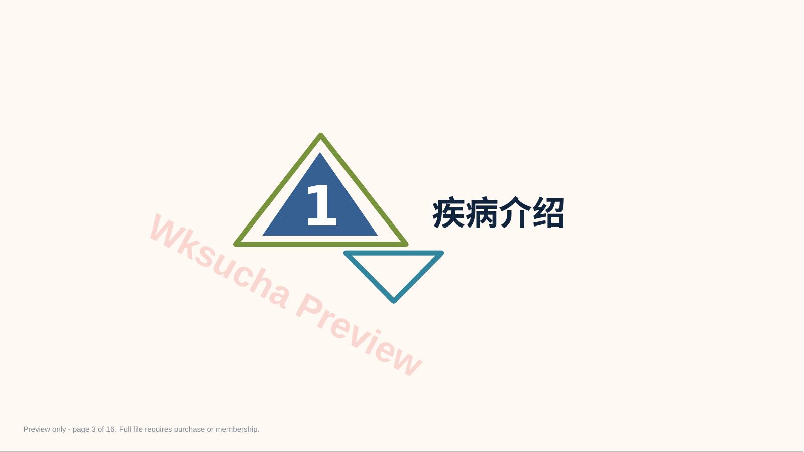 预览第 3 页