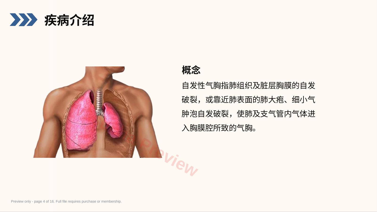 预览第 4 页