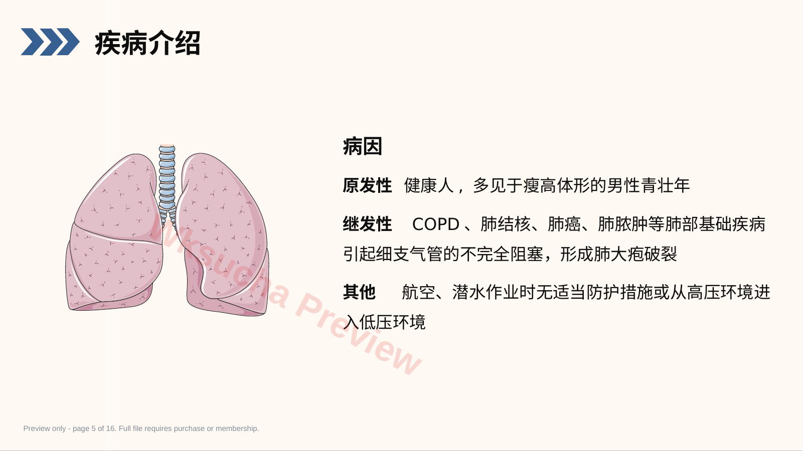 预览第 5 页