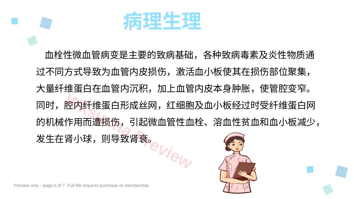 预览第 5 页