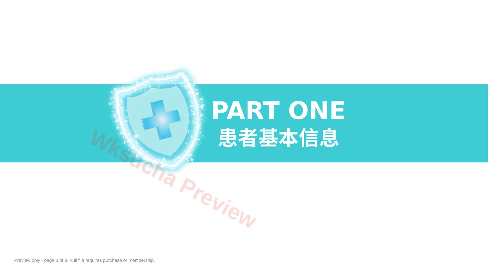 预览第 3 页