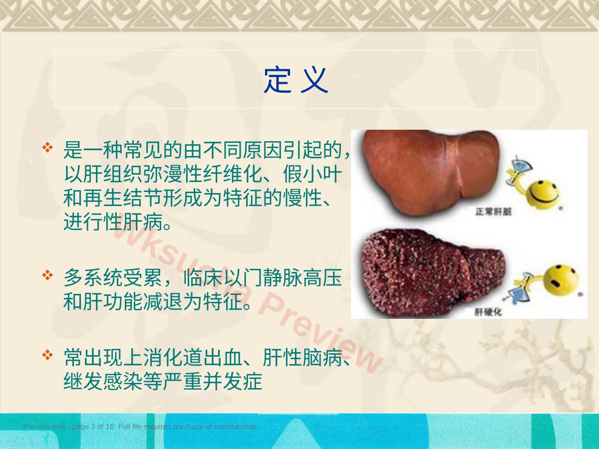 预览第 3 页