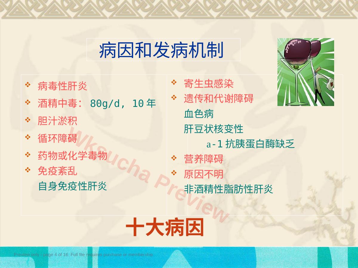预览第 4 页