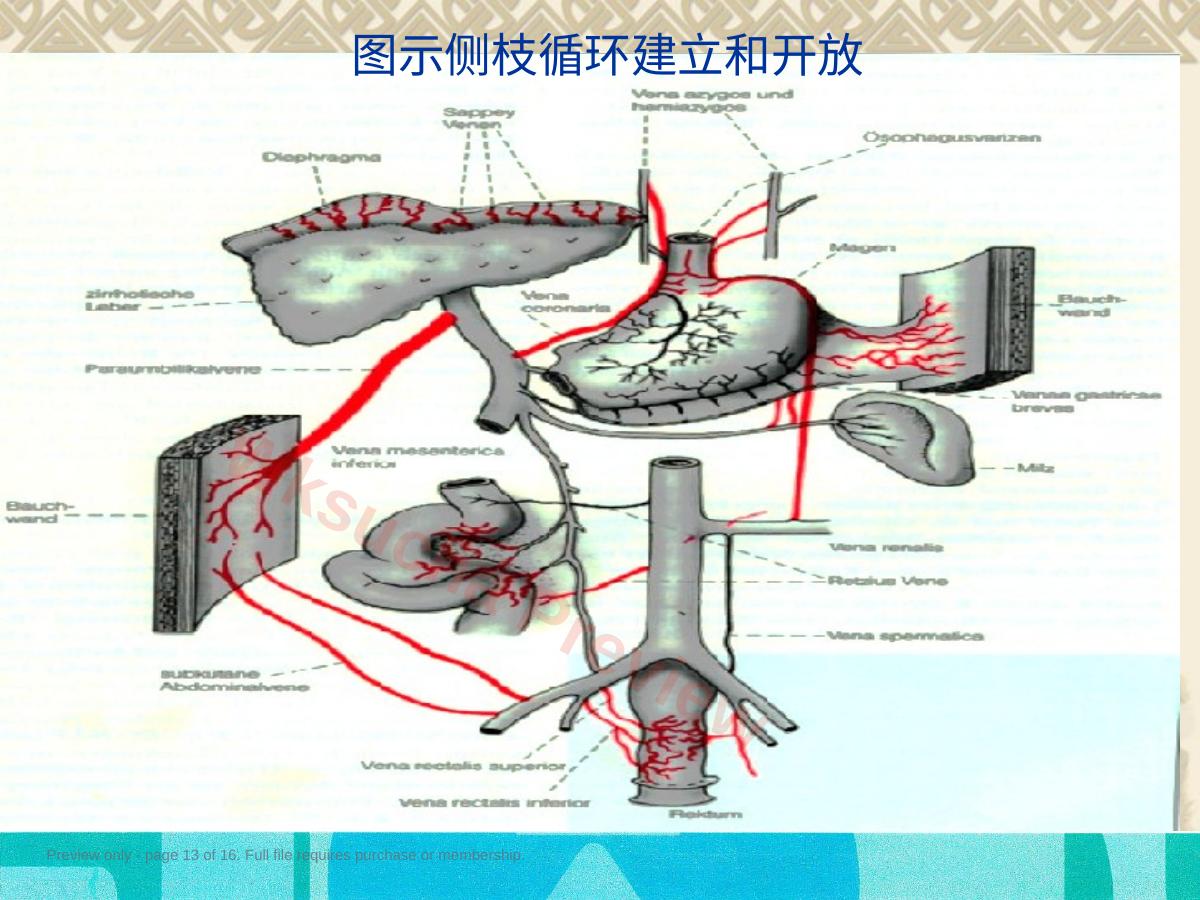 预览第 13 页