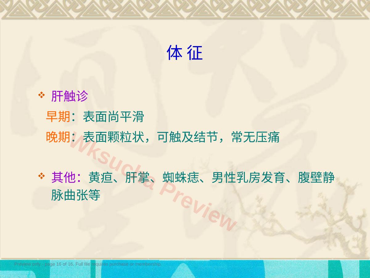 预览第 16 页