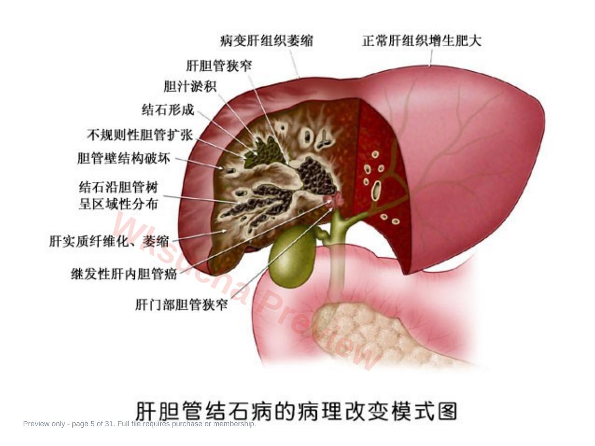 预览第 5 页