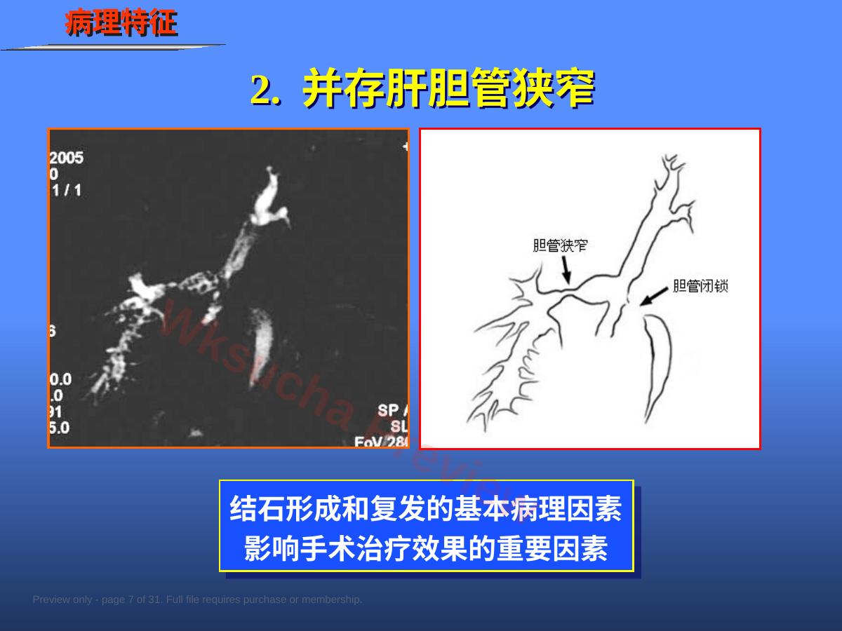 预览第 7 页