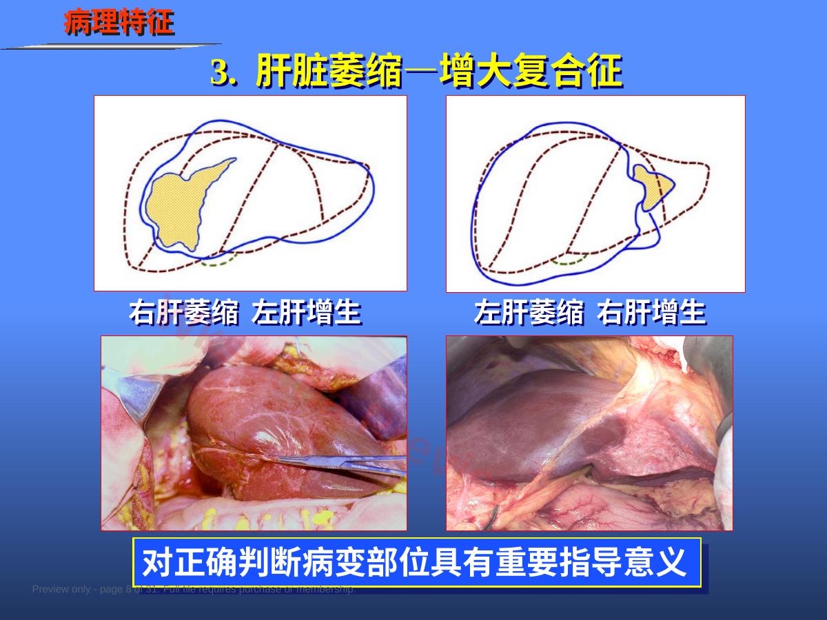 预览第 8 页