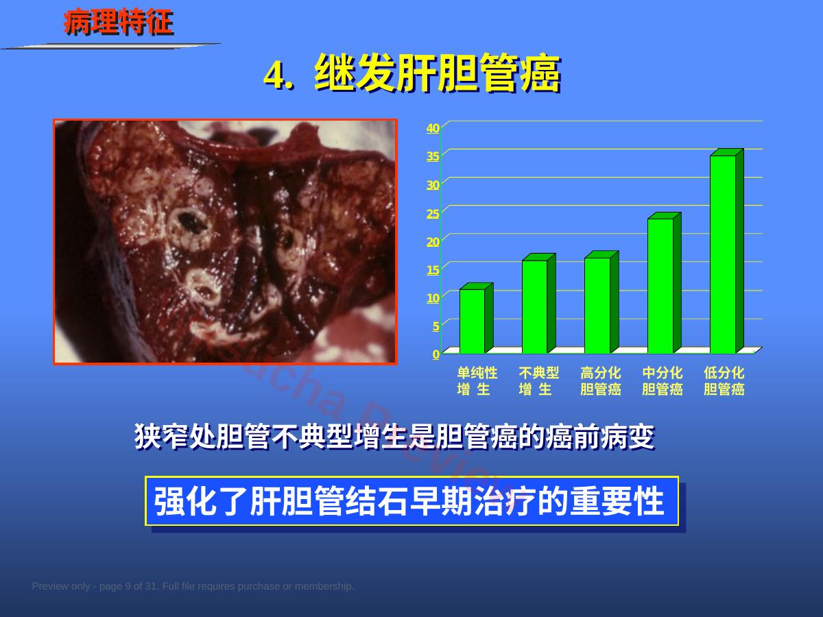 预览第 9 页