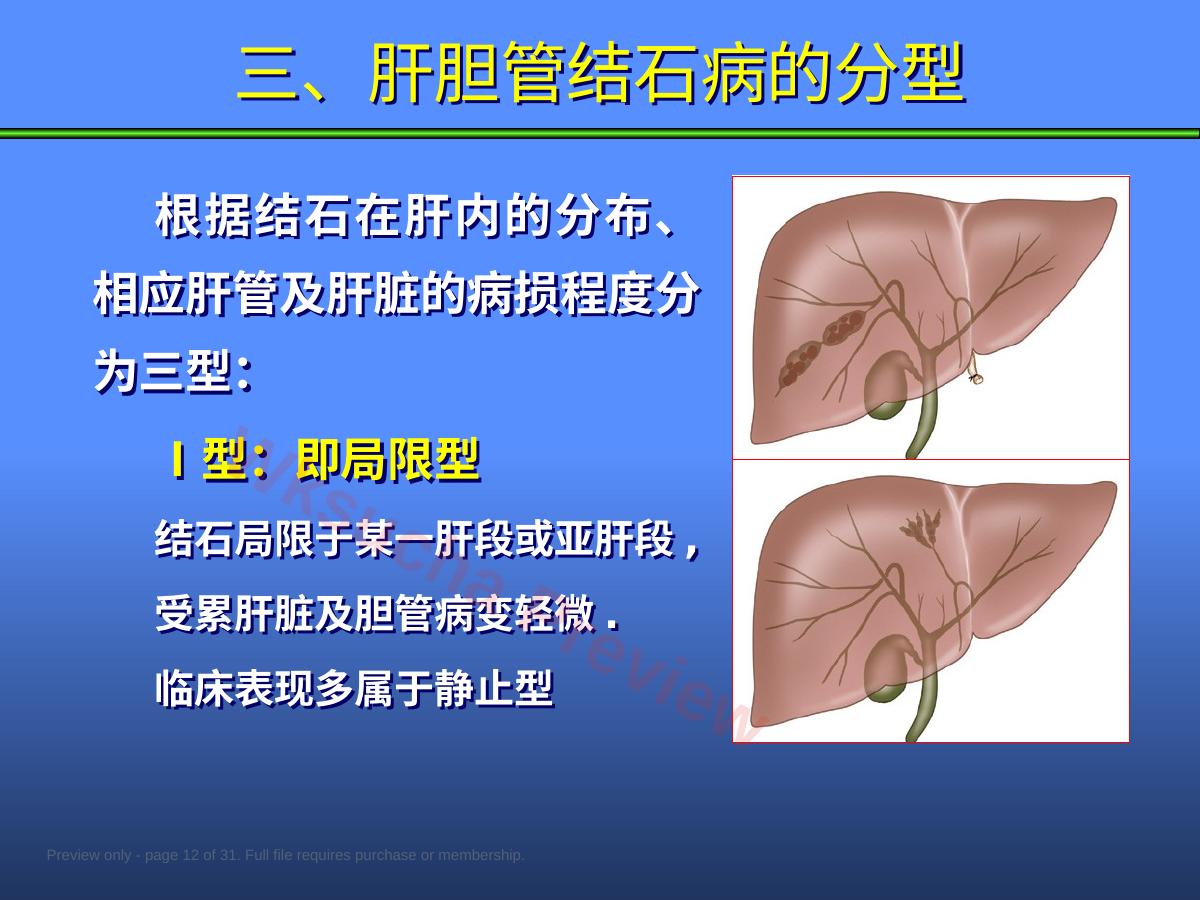 预览第 12 页