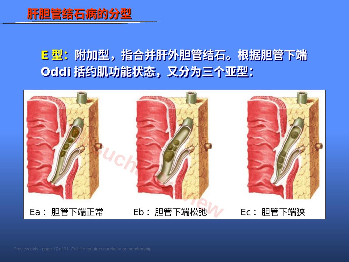 预览第 17 页
