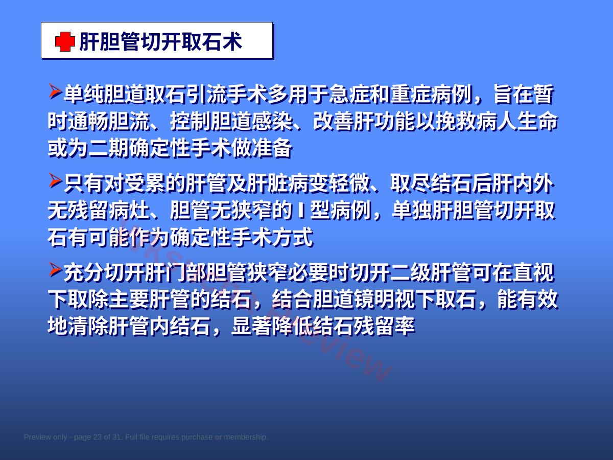 预览第 23 页