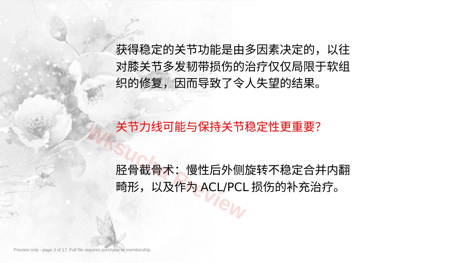 预览第 3 页