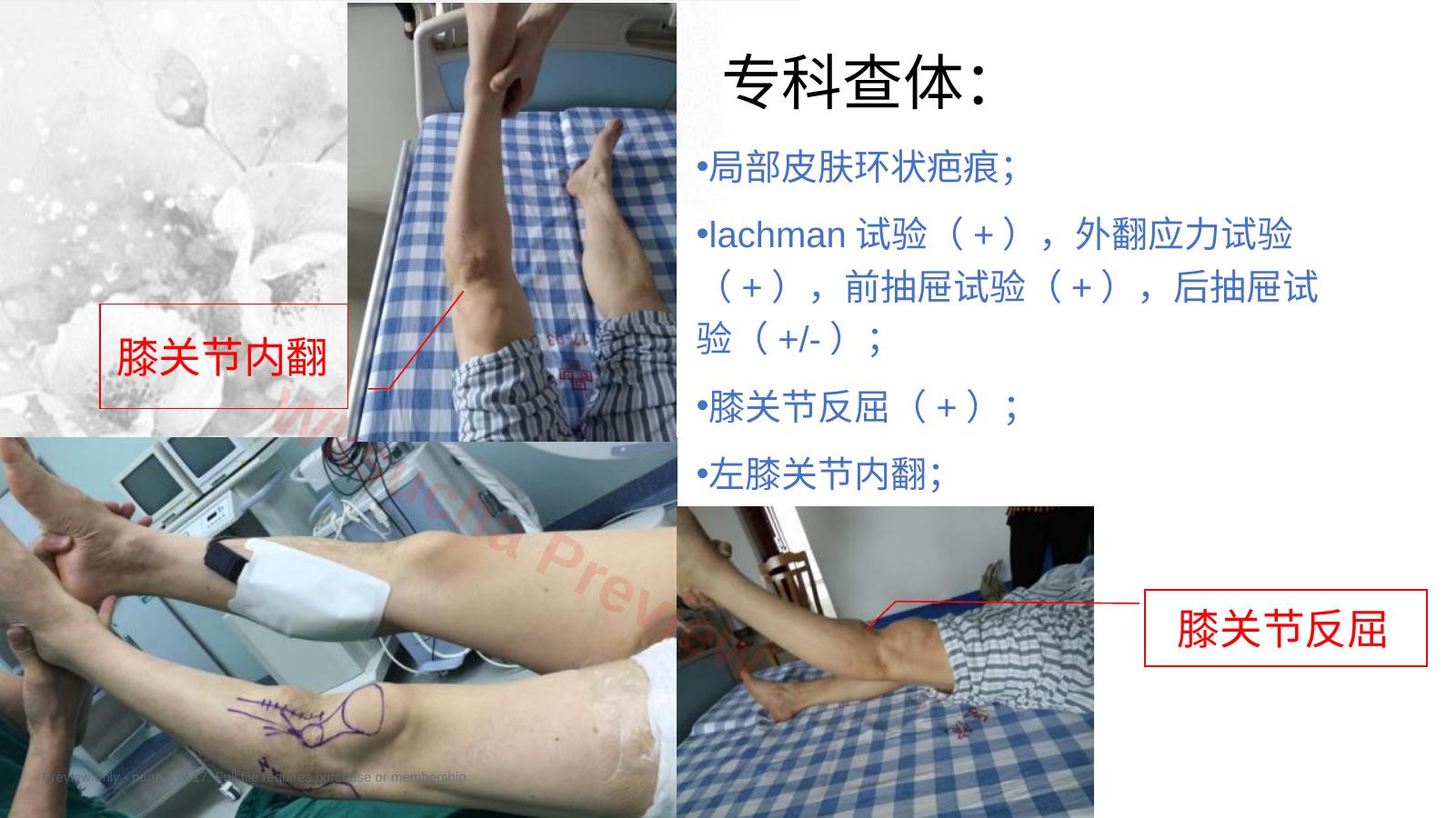 预览第 5 页