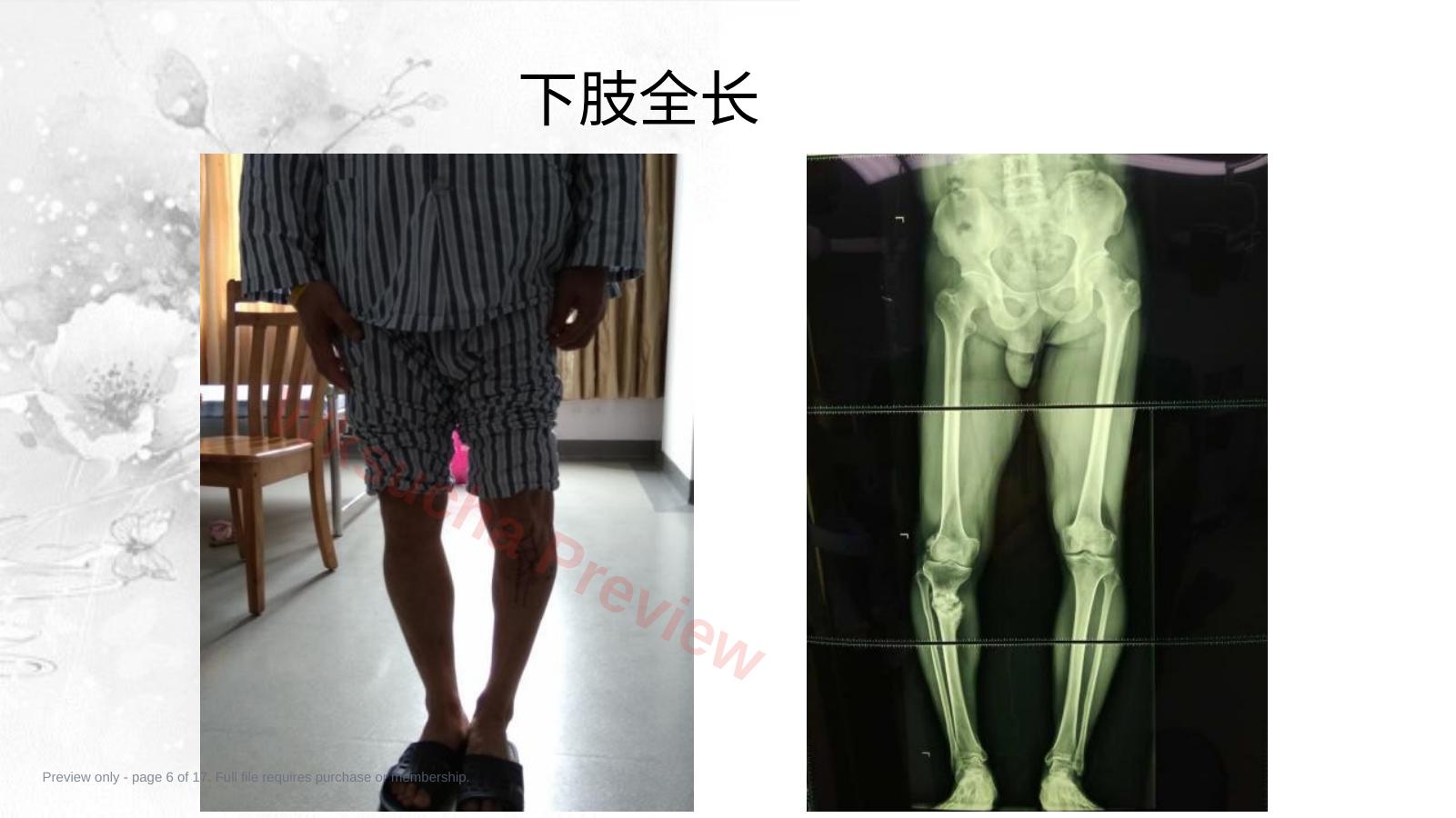 预览第 6 页