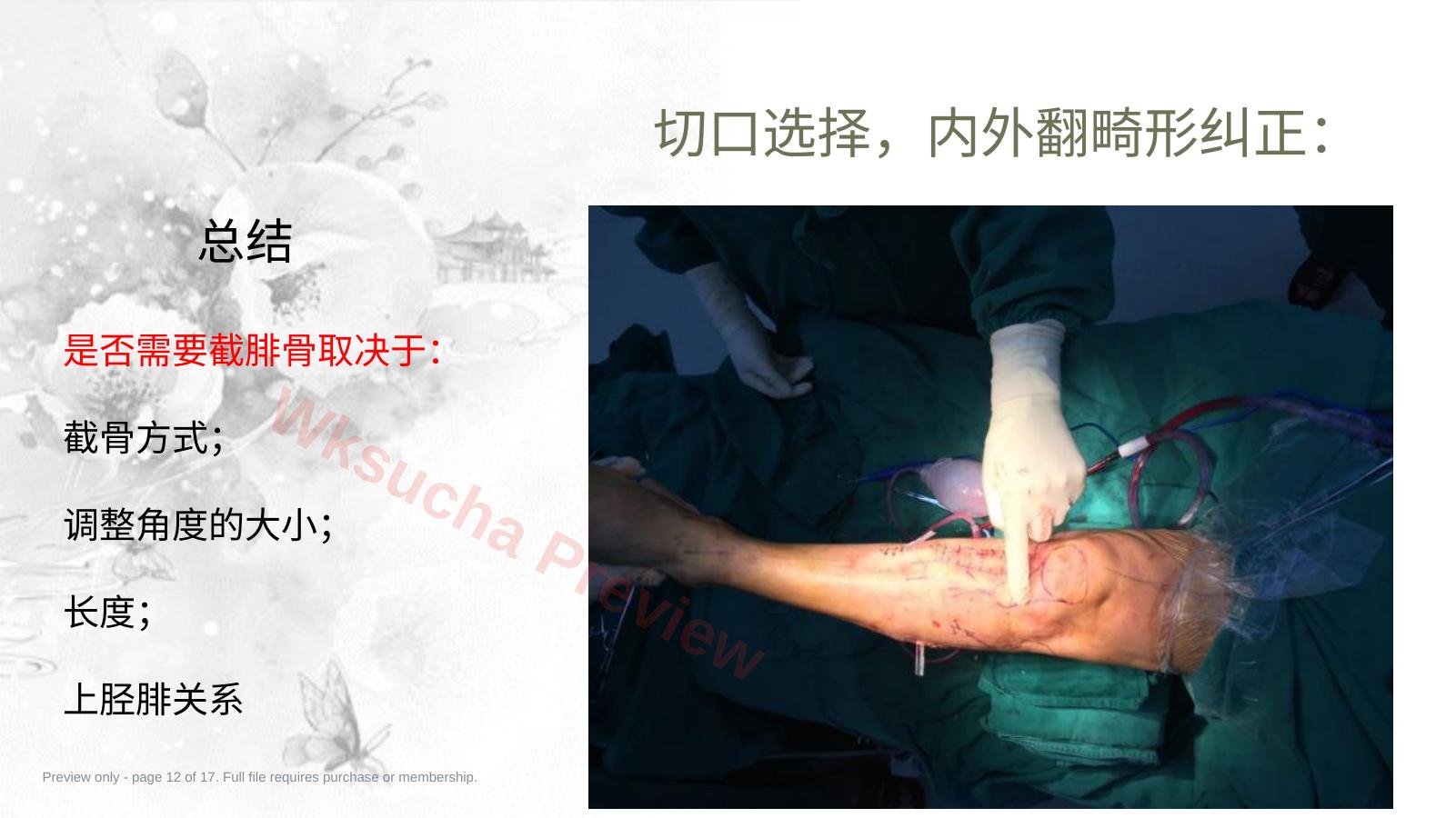 预览第 12 页