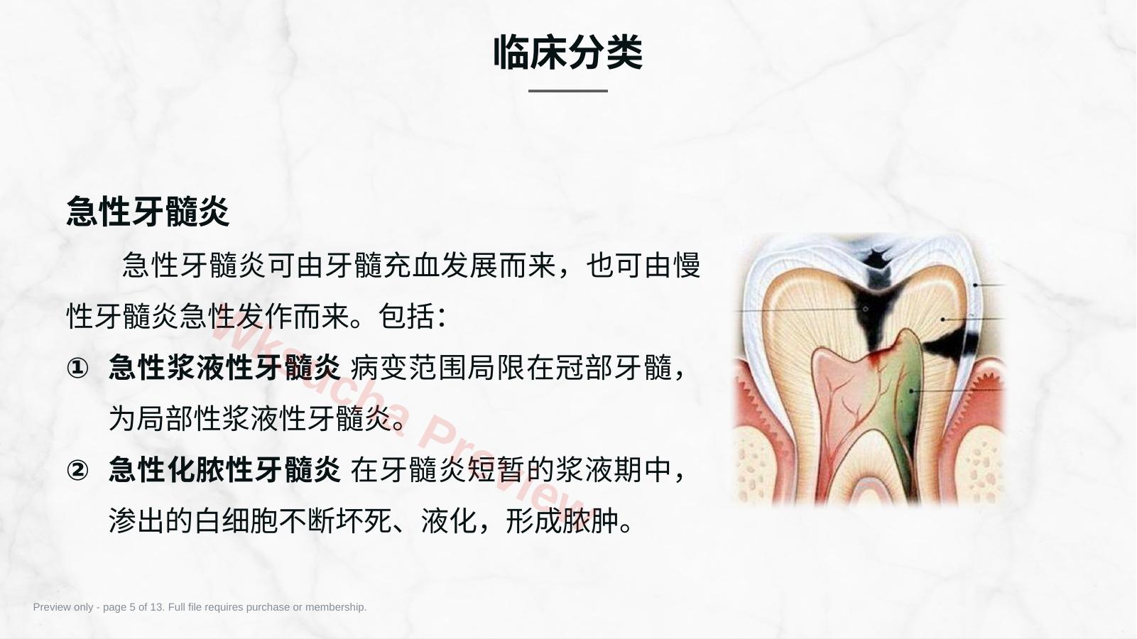 预览第 5 页