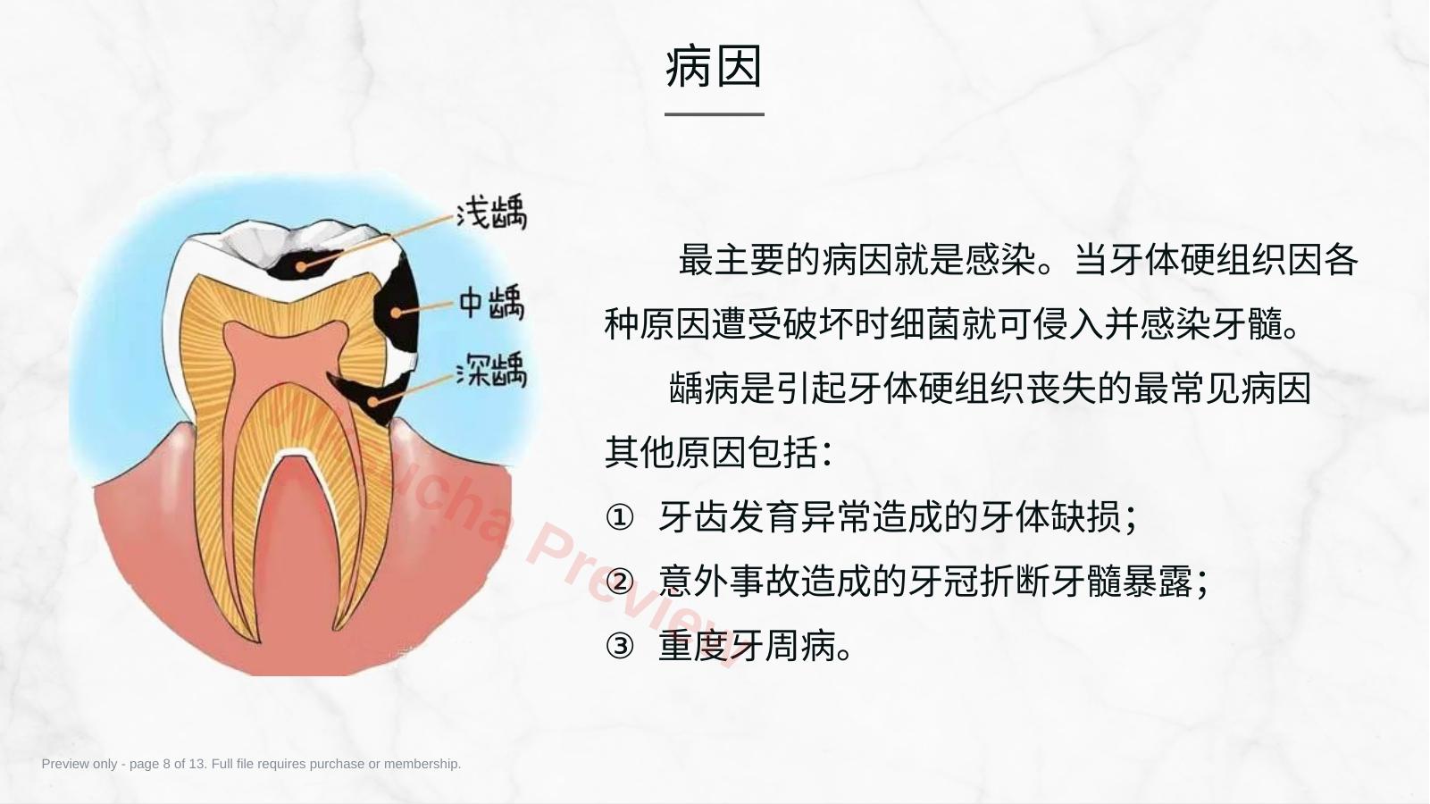 预览第 8 页