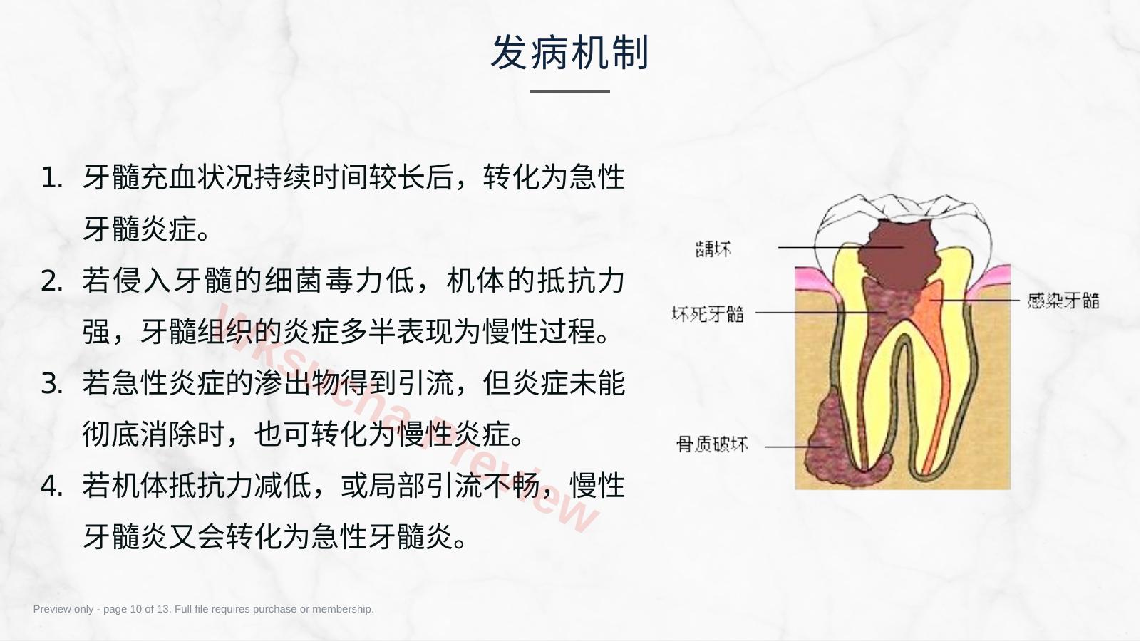 预览第 10 页