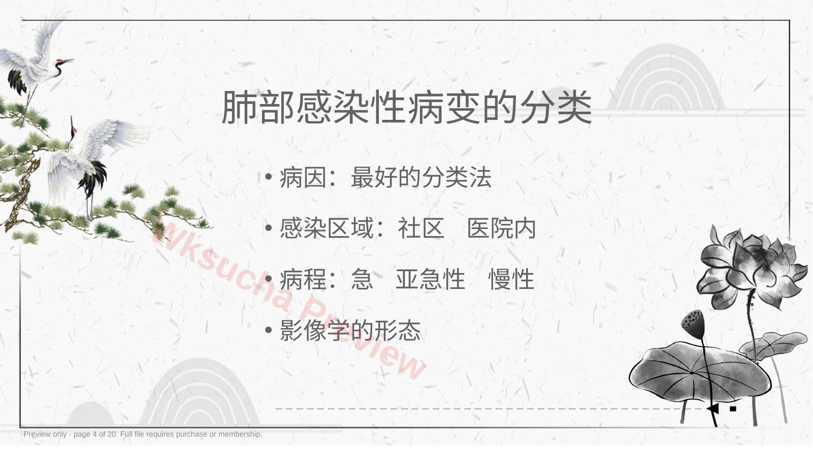 预览第 4 页