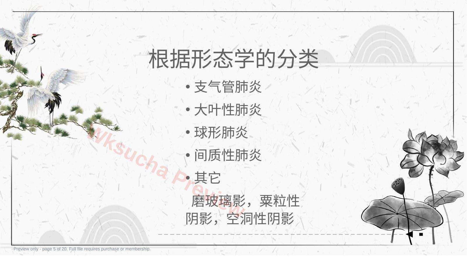 预览第 5 页