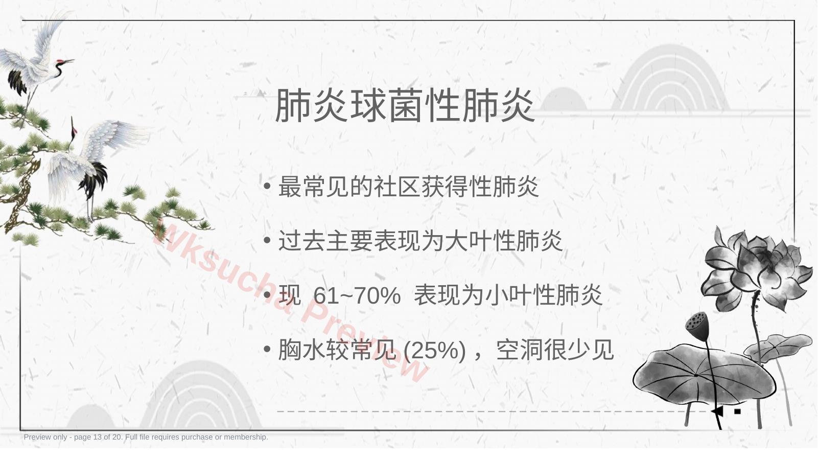 预览第 13 页