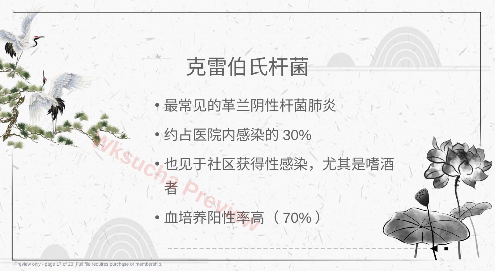 预览第 17 页