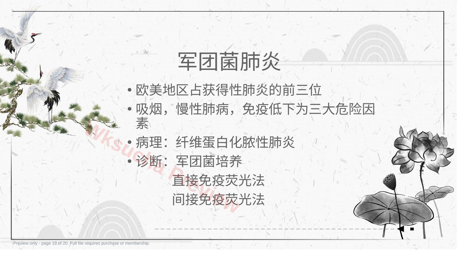 预览第 19 页