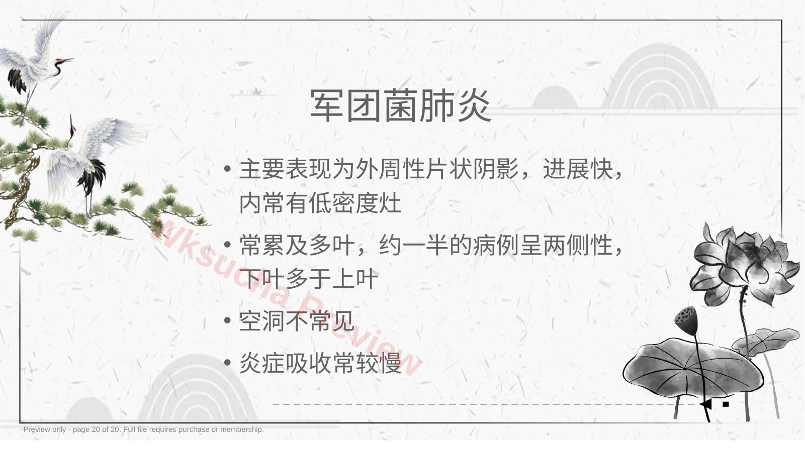 预览第 20 页