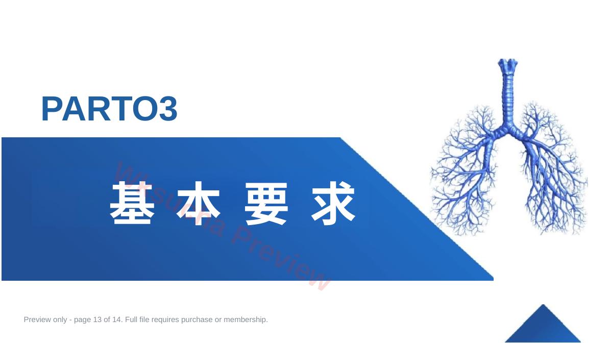 预览第 13 页
