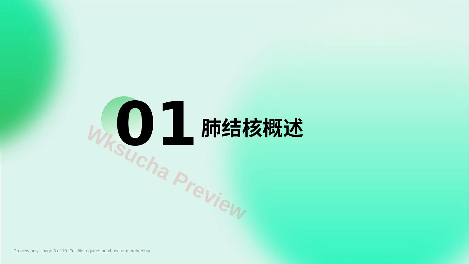 预览第 3 页