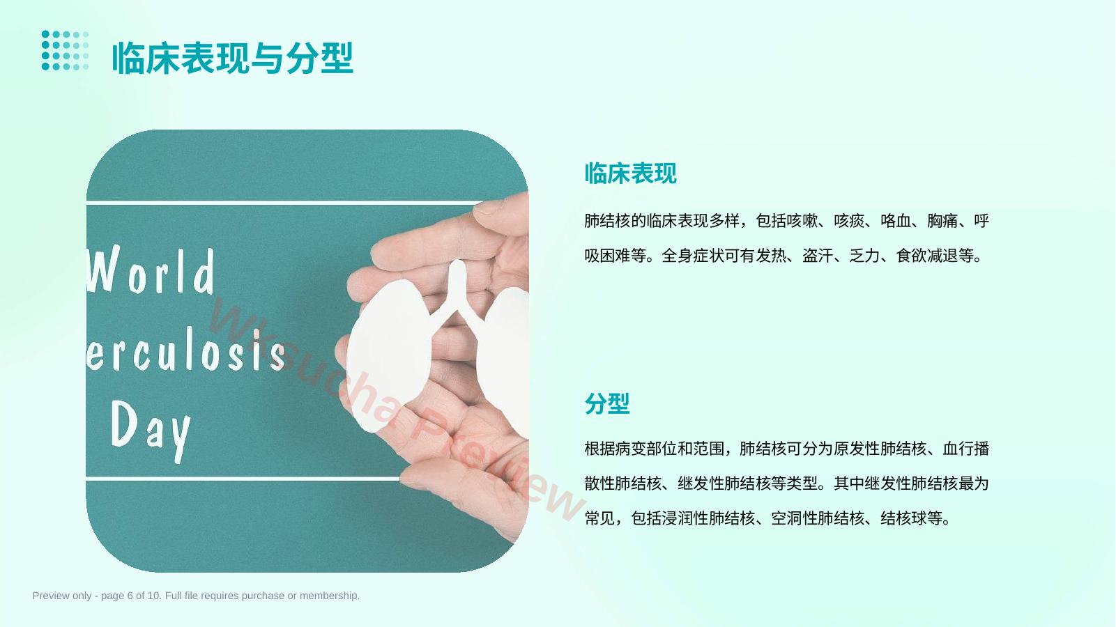 预览第 6 页