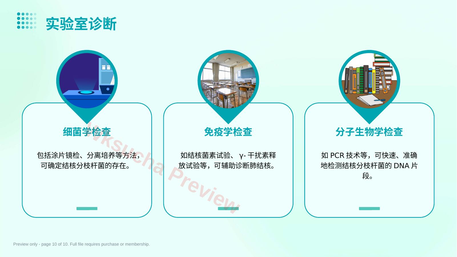 预览第 10 页
