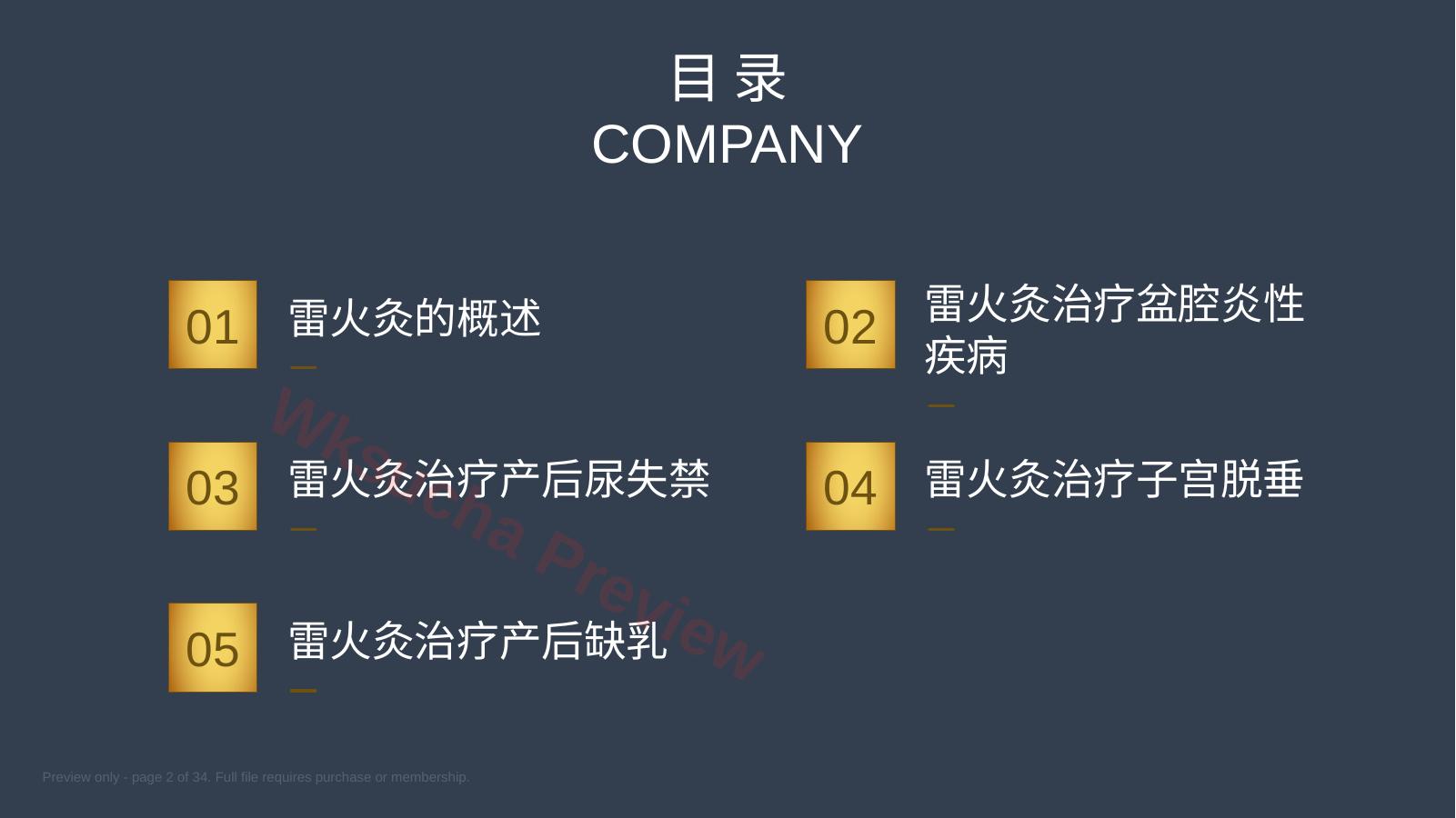 预览第 2 页