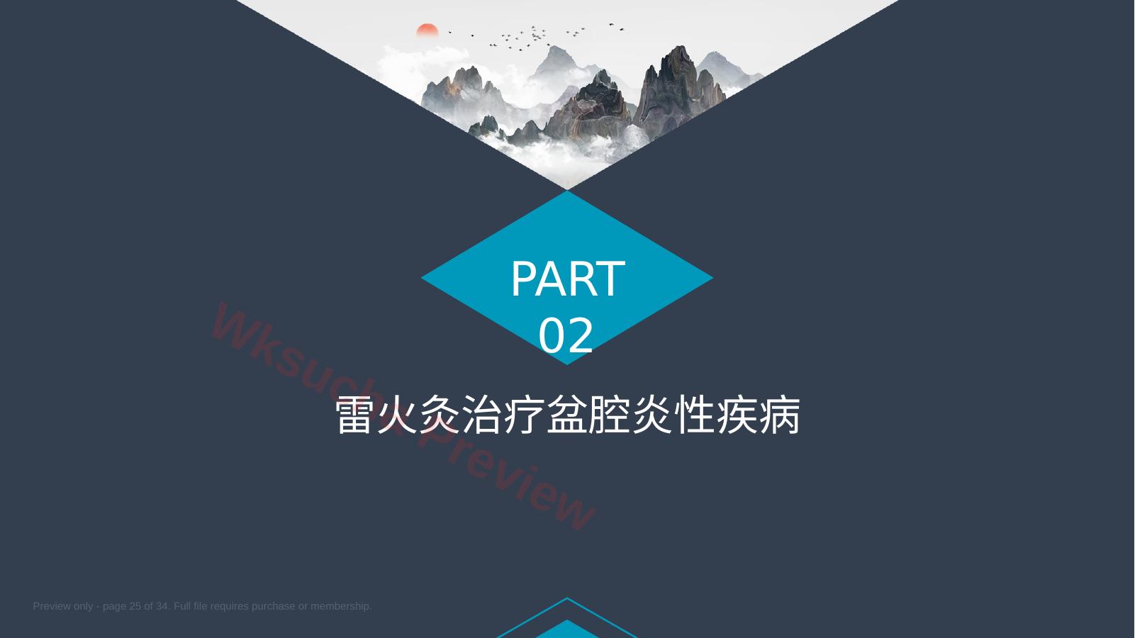 预览第 25 页