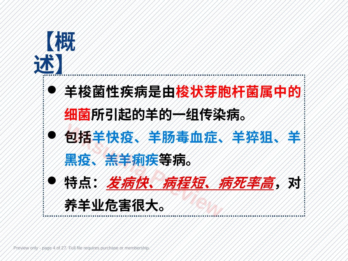 预览第 4 页
