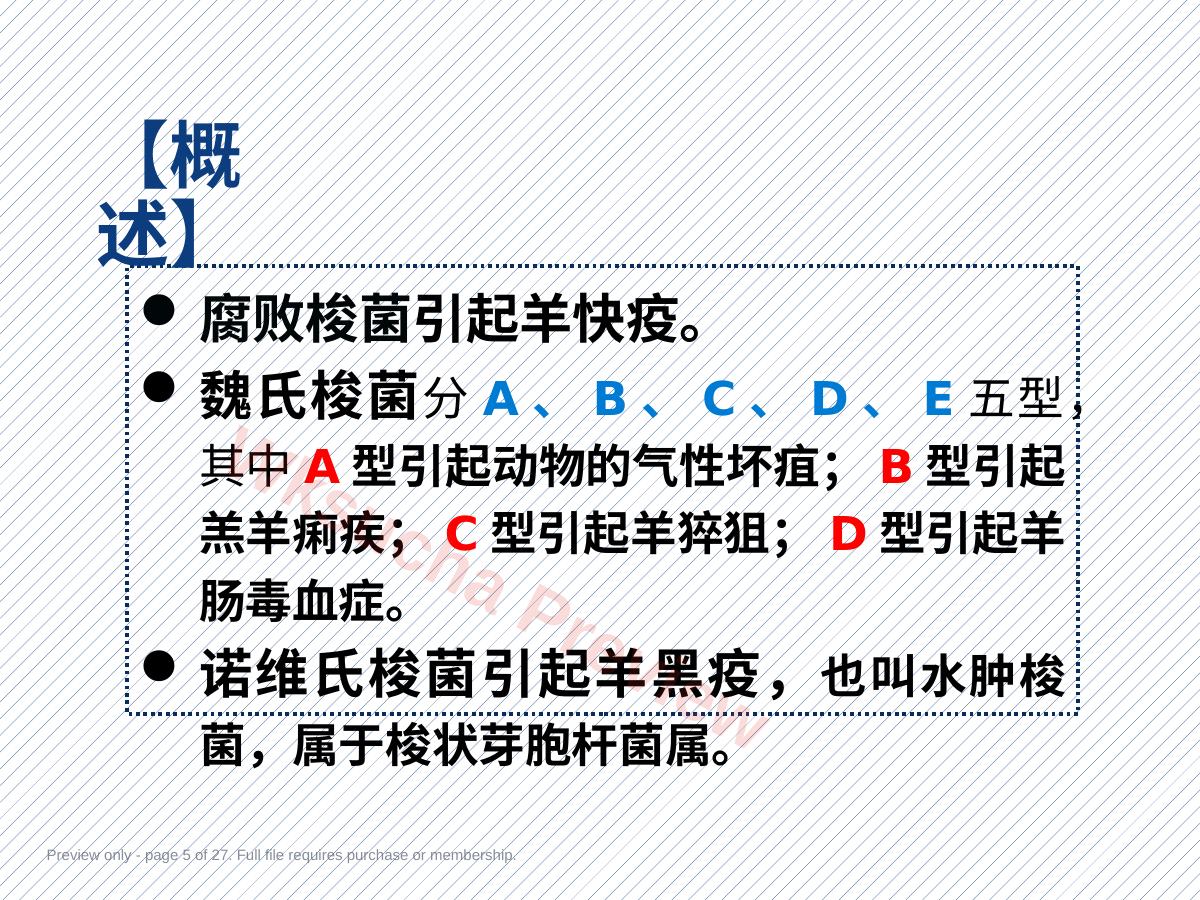 预览第 5 页
