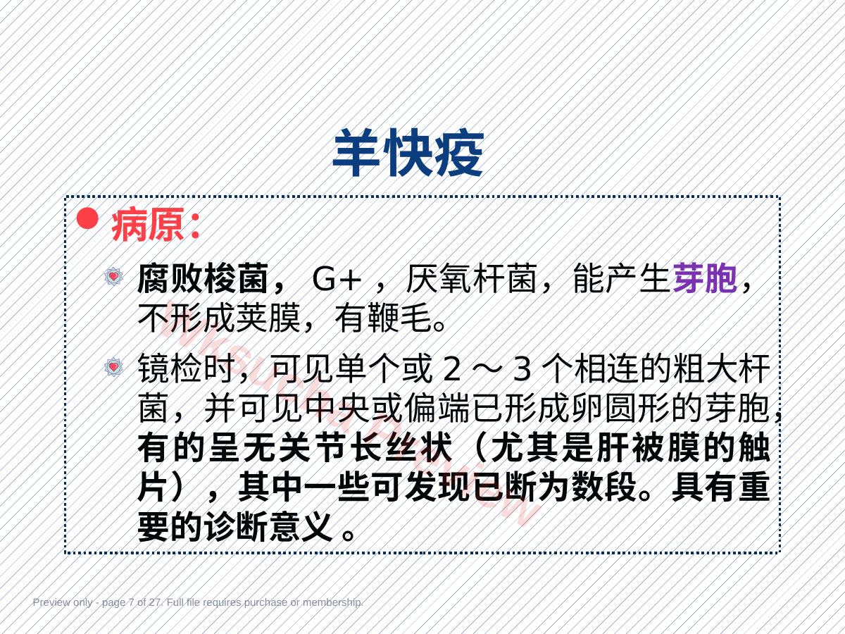 预览第 7 页