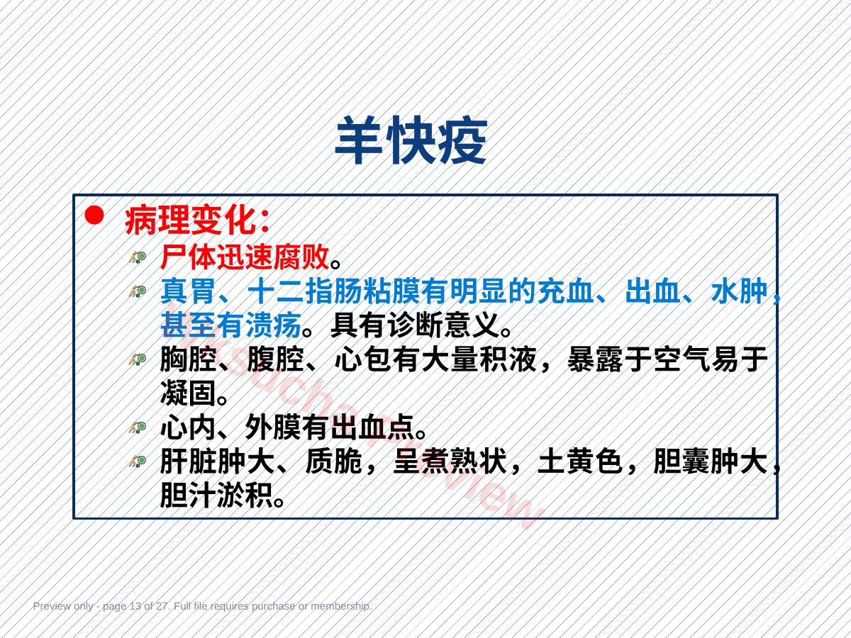 预览第 13 页