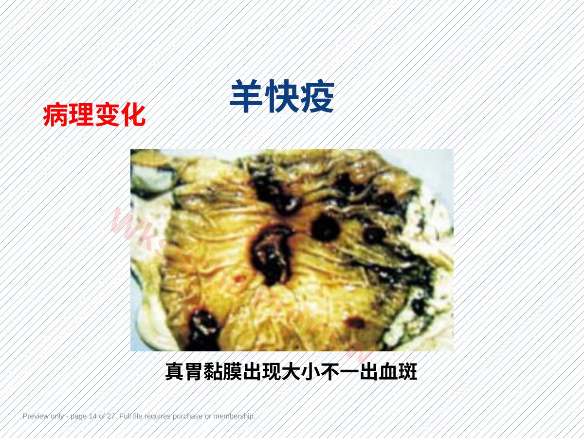 预览第 14 页