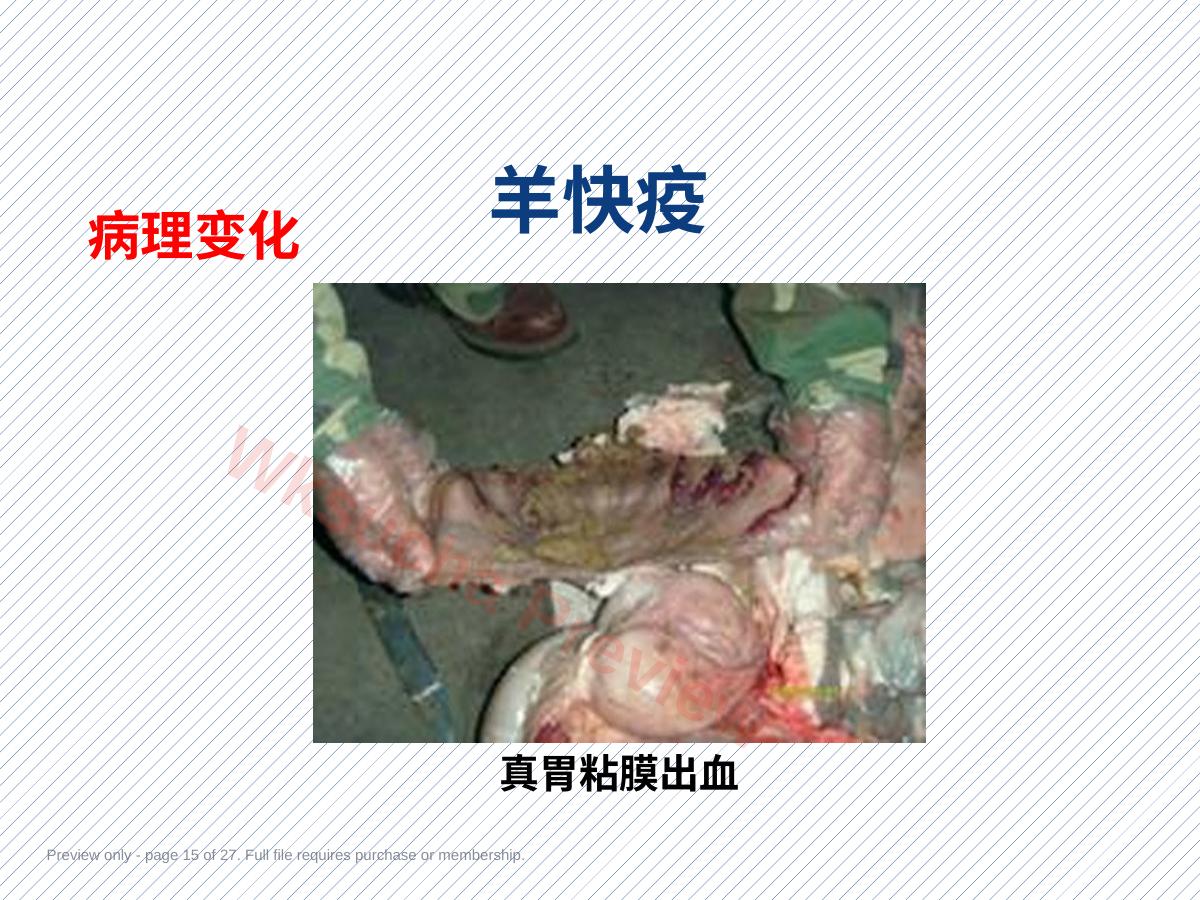 预览第 15 页
