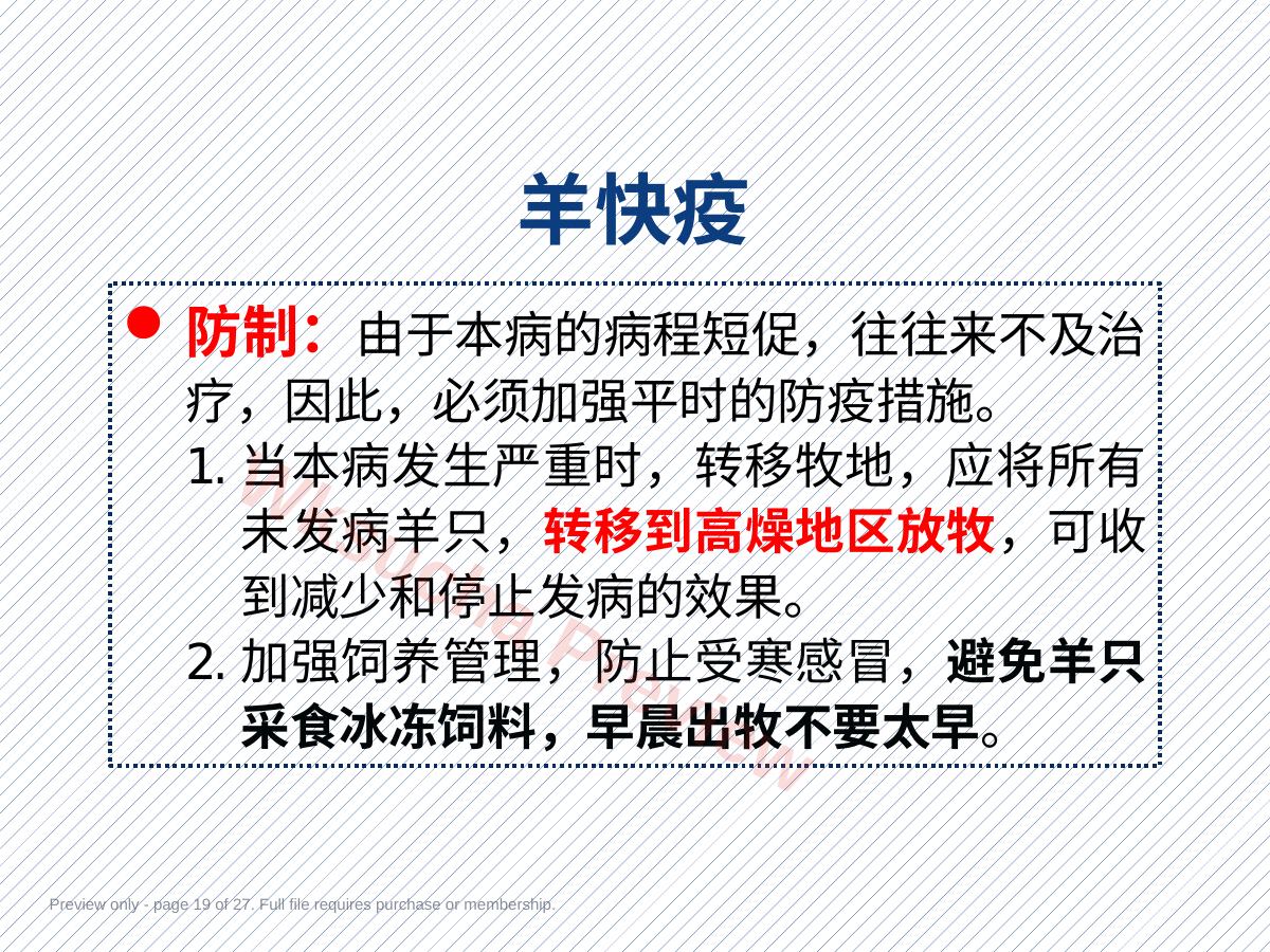 预览第 19 页