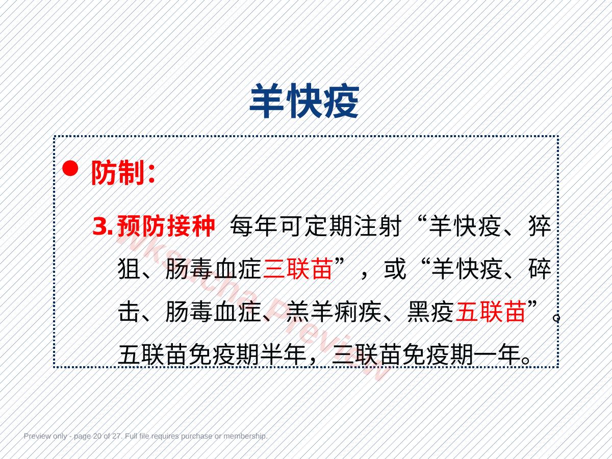 预览第 20 页