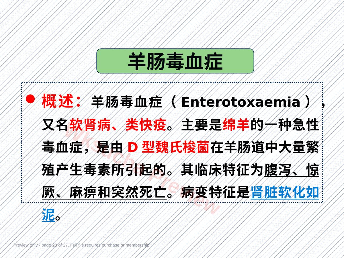 预览第 23 页