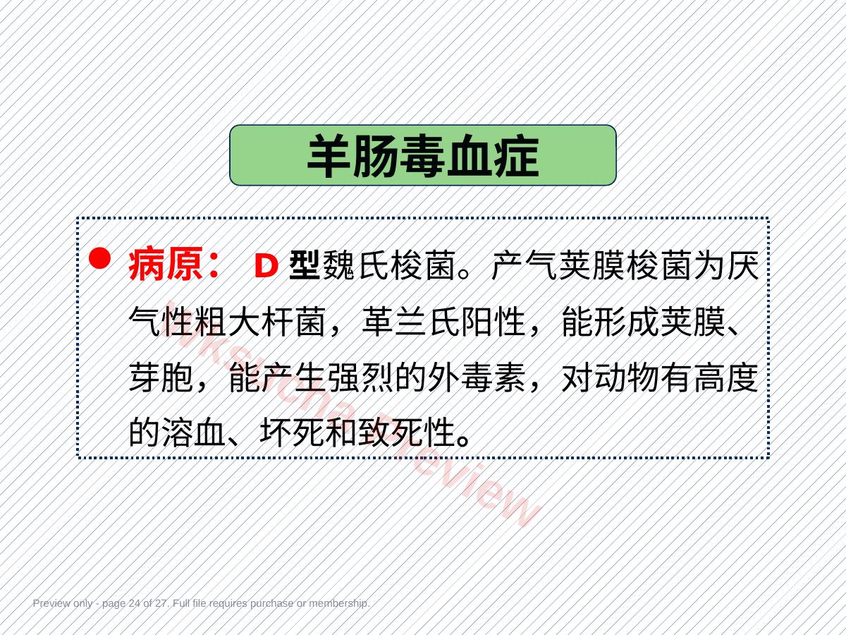 预览第 24 页