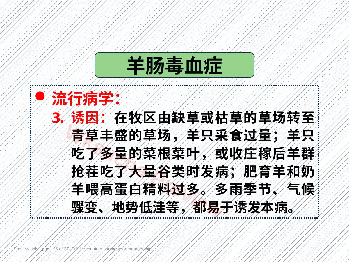预览第 26 页