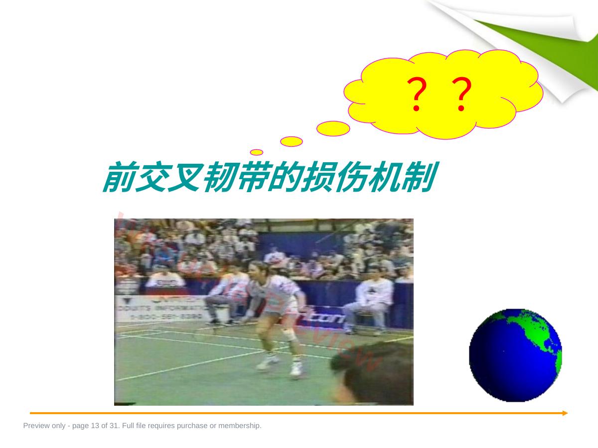 预览第 13 页