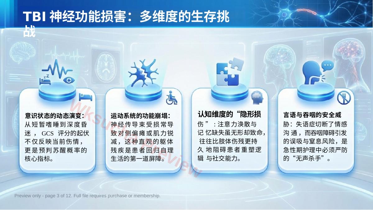 预览第 3 页